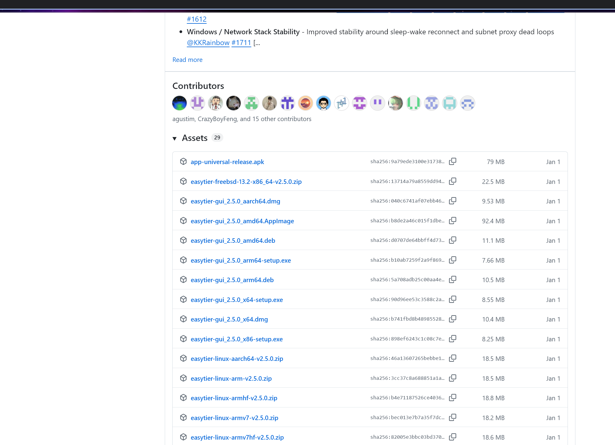 EasyTier安装界面